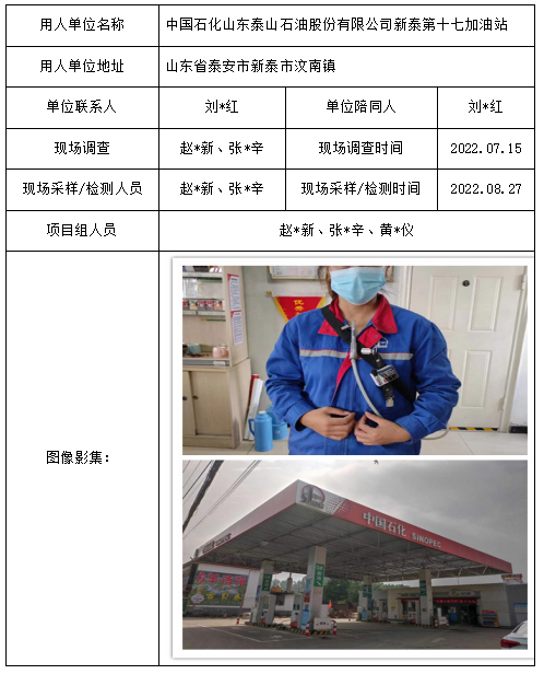 中國石化山東泰山石油股份有限公司新泰第十七加油站