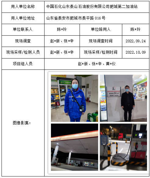 中國(guó)石化山東泰山石油股份有限公司肥城第二加油站